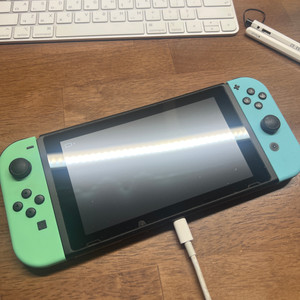 닌텐도 스위치 동물의 숲 에디션 + 동물의 숲 칩