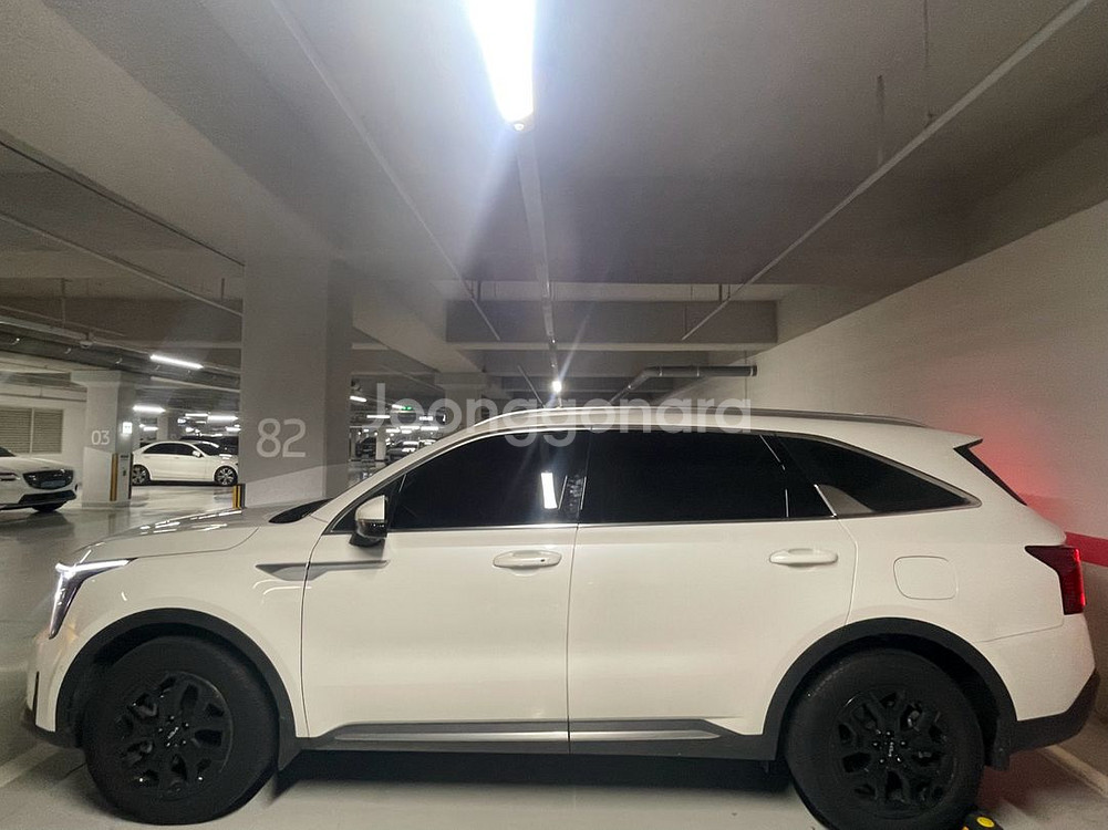 월 679,140원 2024 더 뉴 쏘렌토 HEV--2