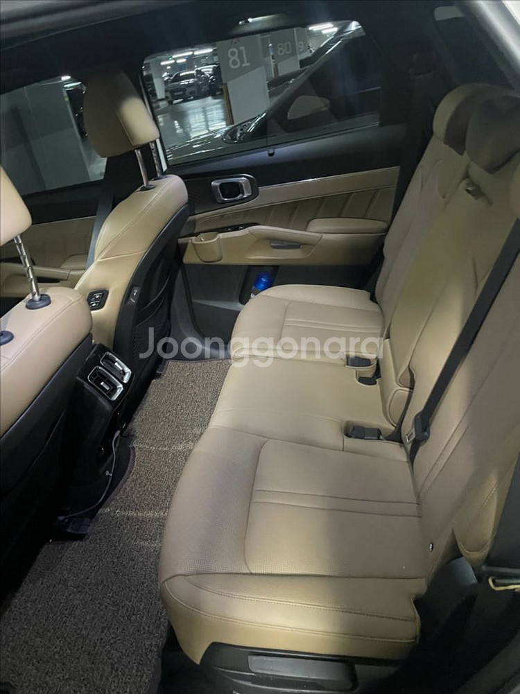 월 679,140원 2024 더 뉴 쏘렌토 HEV--6