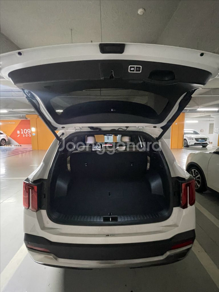 월 679,140원 2024 더 뉴 쏘렌토 HEV--9