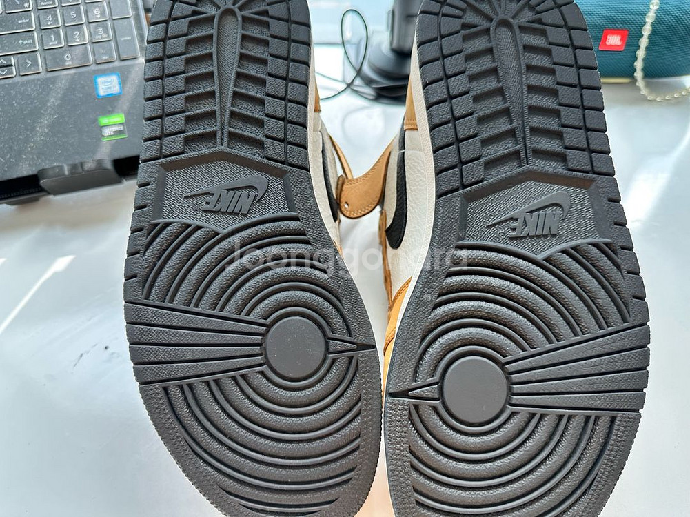 (270) 조던 1 레트로 하이 루키오브더이어--1