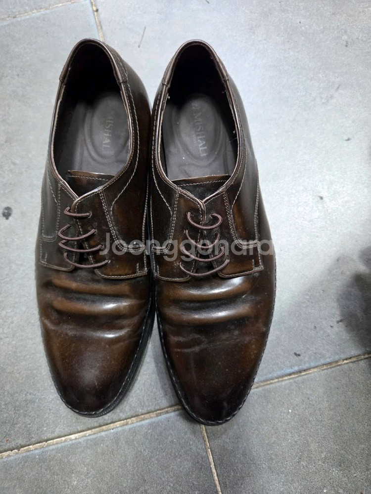 탠디가죽구두250--0