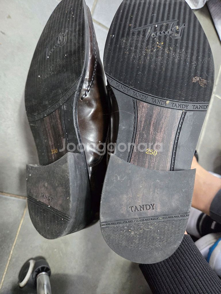탠디가죽구두250--3