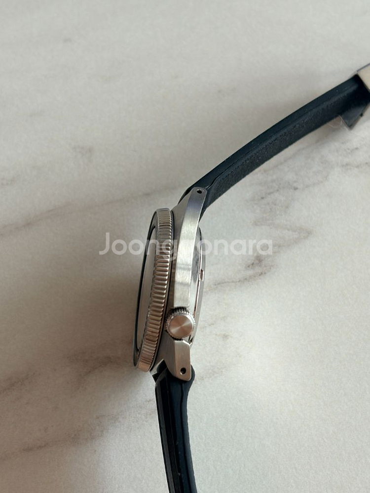 세이코 슬림터틀 spb317--1