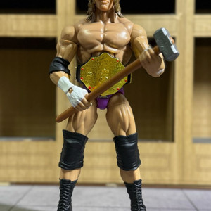 WWE WWF 레슬링 피규어 판매합니다