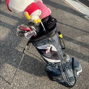 여성골프채 풀세트(테일러 타이틀