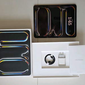 아이패드 프로 13인치 M4 256GB Wifi