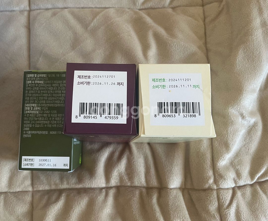 가르시니아, 초록이 등 일괄판매--1