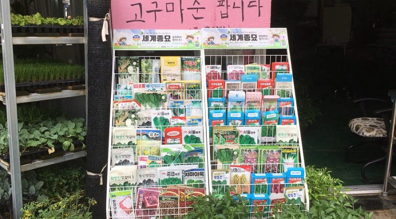 아이폰 6s 스그 64기가 판매--3