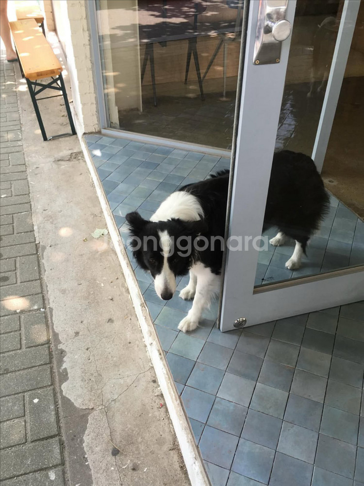 아이폰 6s 스그 64기가 판매--6