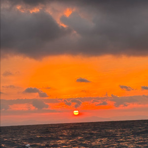 아일랜드v3 144.146 아무거나 한대 구해봅니다