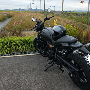 [가격조정] 25년식 게릴라450 블랙 판매