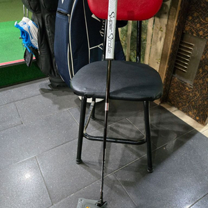 테일러메이드 스텔스2 드라이빙 퍼터