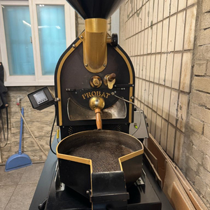 프로밧 프로바티노 판매합니다