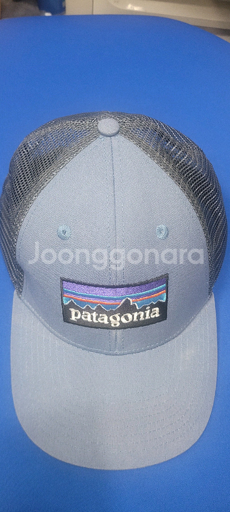 파타고니아 메쉬 캠프캡--0