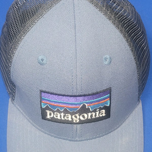 파타고니아 메쉬 캠프캡