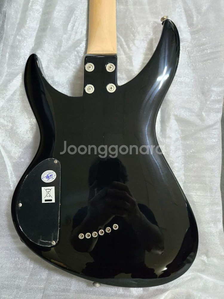 [새상품] 루나 일렉기타 (셋업, 가방포함)--2