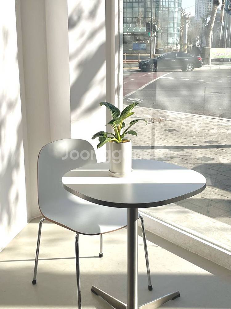 플랜트란스 모모체어(의자) 윌리 카페 테이블 900--0