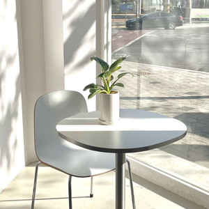 플랜트란스 모모체어(의자) 윌리 카페 테이블 900