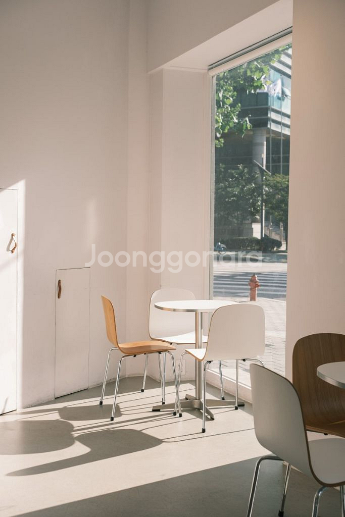 플랜트란스 모모체어(의자) 윌리 카페 테이블 900--4