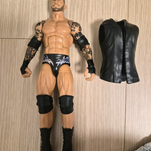 WWE 커스텀 랜디 오턴 피규어