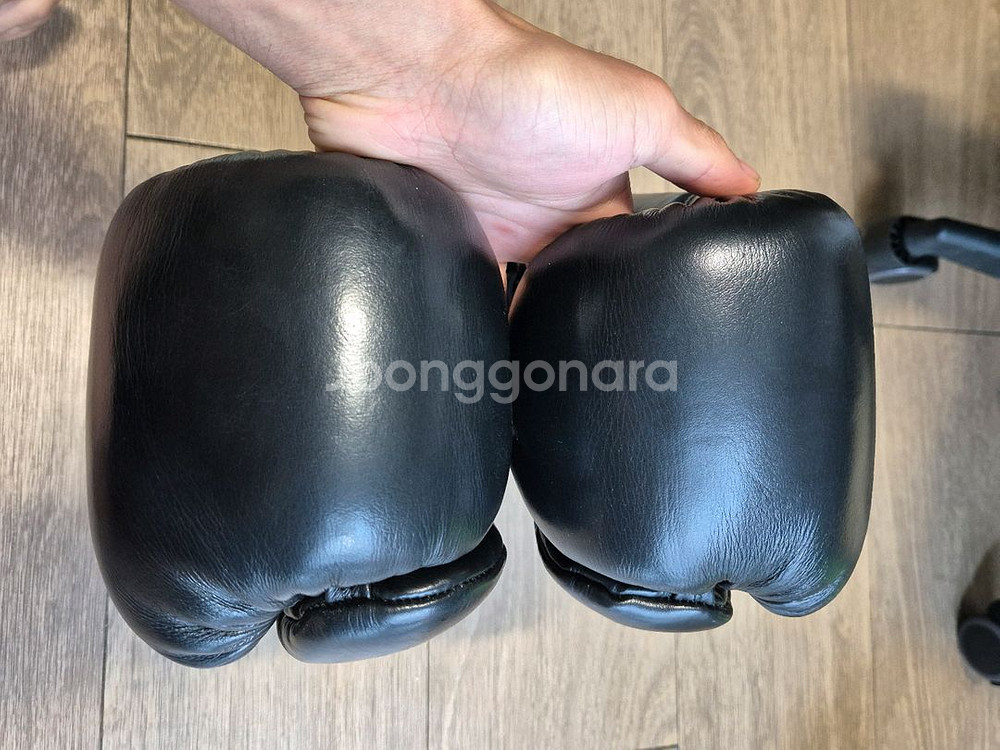 힛앤무브 수바리 복싱글러브 14온즈--2
