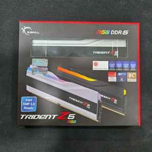 G.SKILL DDR5-6000 CL30 TRIDENT Z5 RGB J 실버 패키지 (64GB(32Gx2))