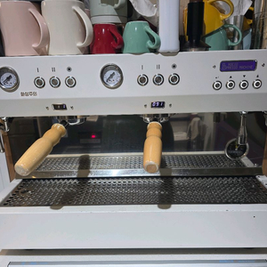 엘로치오 디그니티 2구