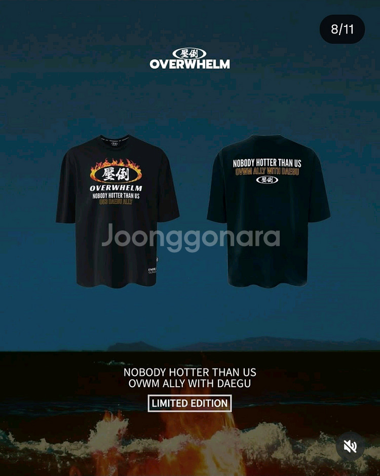 압도 대구 한정판 반팔티 L 새상품--1