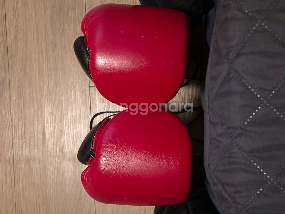 세이에르 프로페셔널 복싱글러브 14온즈--2