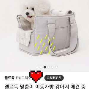 강아지 이동가방