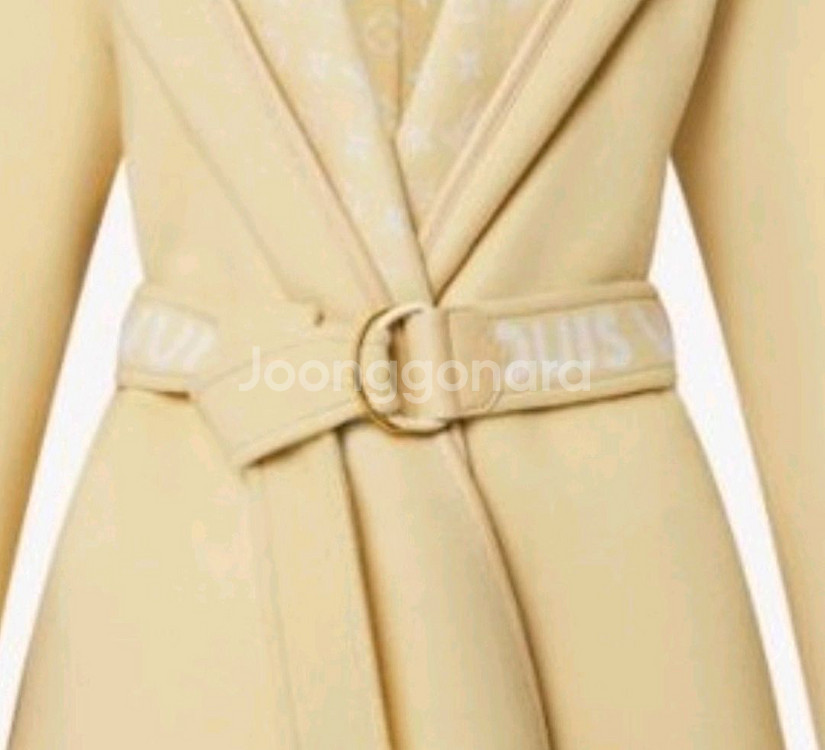 LOUIS VUITTON 루이비통 캔버스 허리 벨트--6