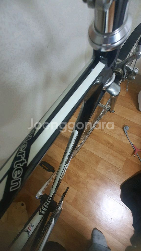 크레이지 허튼 2 크로몰리 픽시 자전거--1