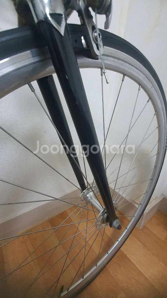 크레이지 허튼 2 크로몰리 픽시 자전거--2