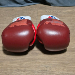 커스텀 위닝 복싱글러브 10온스