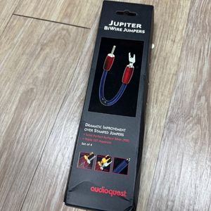 오디오퀘스트 주피터 Jupiter