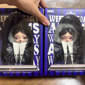 스컬판다 웬즈데이 키링 (반택포함)