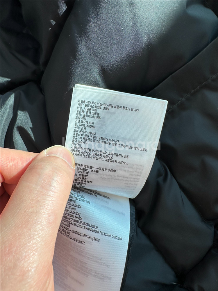 캐나다구스 익스페디션 L--8