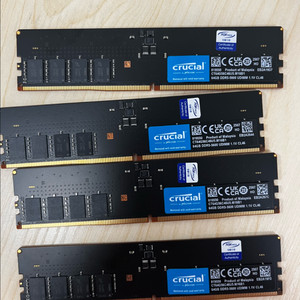 마이크론 ddr5-5600 cl46 64gb 새제품