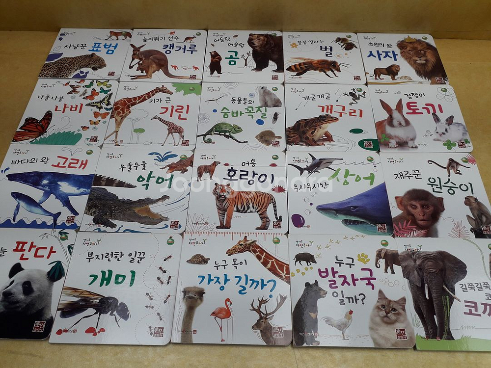 훈민출판사 캥거루 자연주머니 (세이펜 적용) 전 20권--0