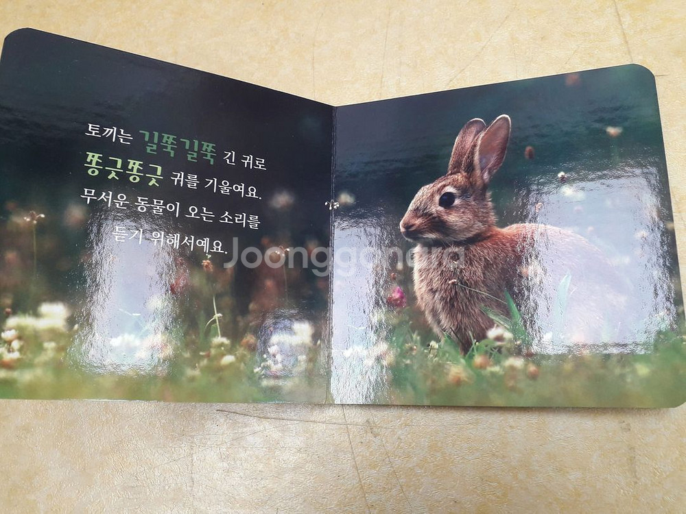 훈민출판사 캥거루 자연주머니 (세이펜 적용) 전 20권--3