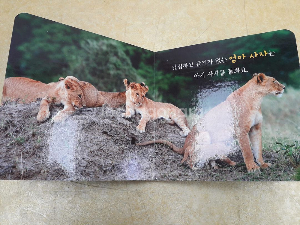 훈민출판사 캥거루 자연주머니 (세이펜 적용) 전 20권--4