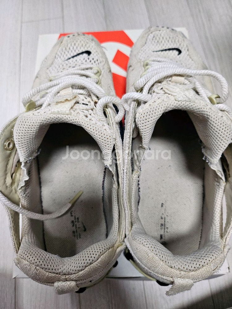 나투시 스피리돈 포실 280--4