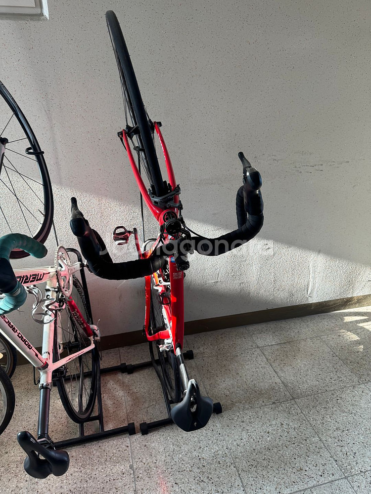 피나렐로 간 울테--0