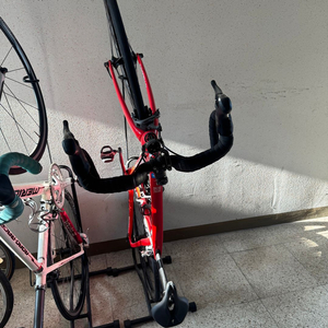 피나렐로 간 울테