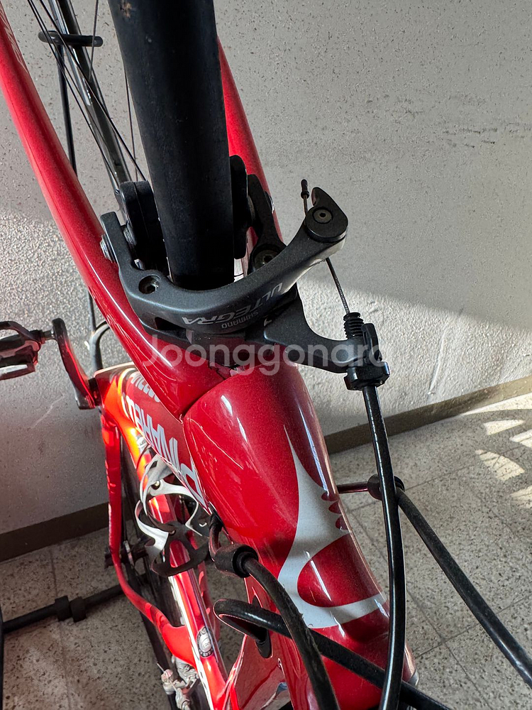 피나렐로 간 울테--2