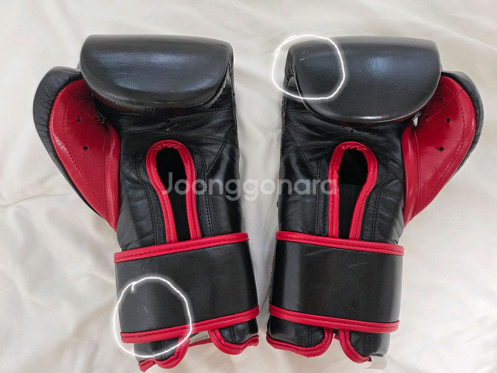 클레토 레예스 복싱글러브 14온즈--3