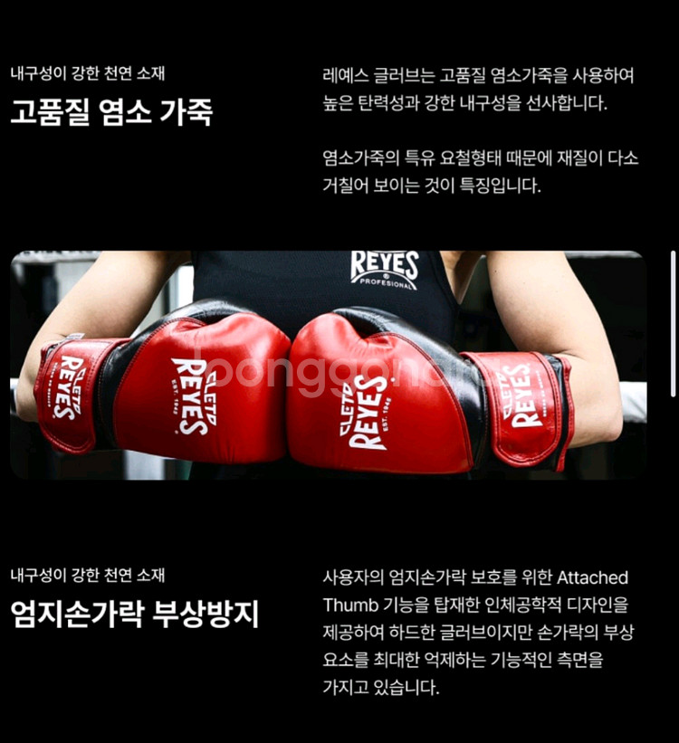 클레토 레예스 복싱글러브 14온즈--5