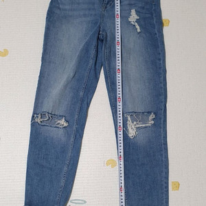 [에센스 드림]성인여성 청바지 흰바지