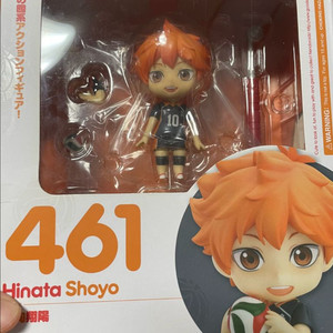 461 히나타 넨도로이드